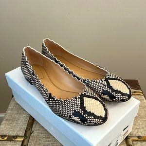 Chloe Scalloped Ballerinas in Eternal Grey Snakeskin